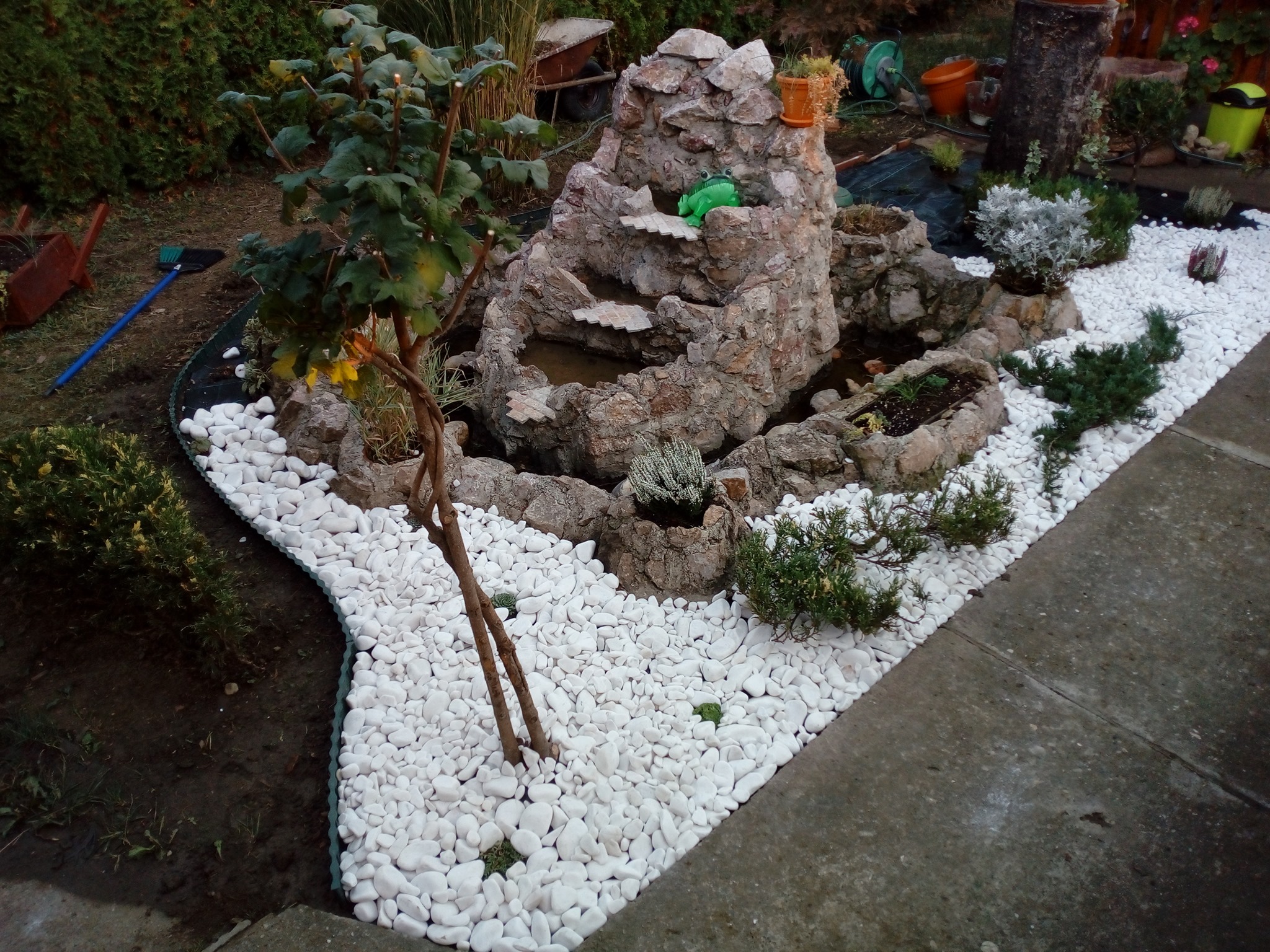Rockery sa belim šljunkom i sadnicama